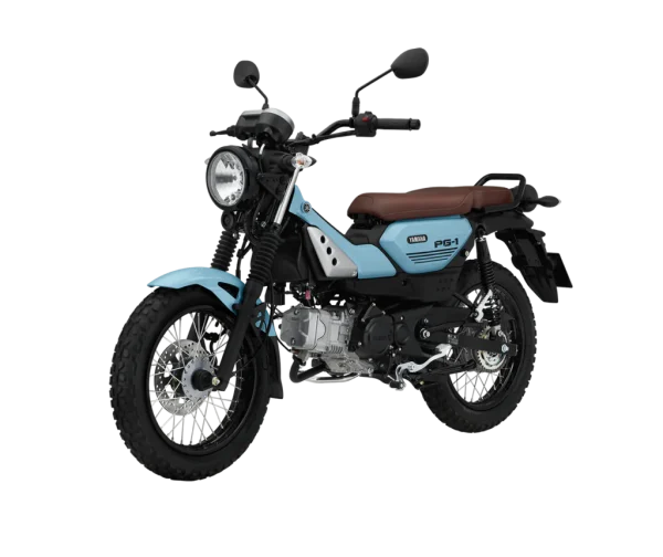 PG-1 phiên bản tiêu chuẩn vành đen