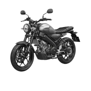 XS155R 2025